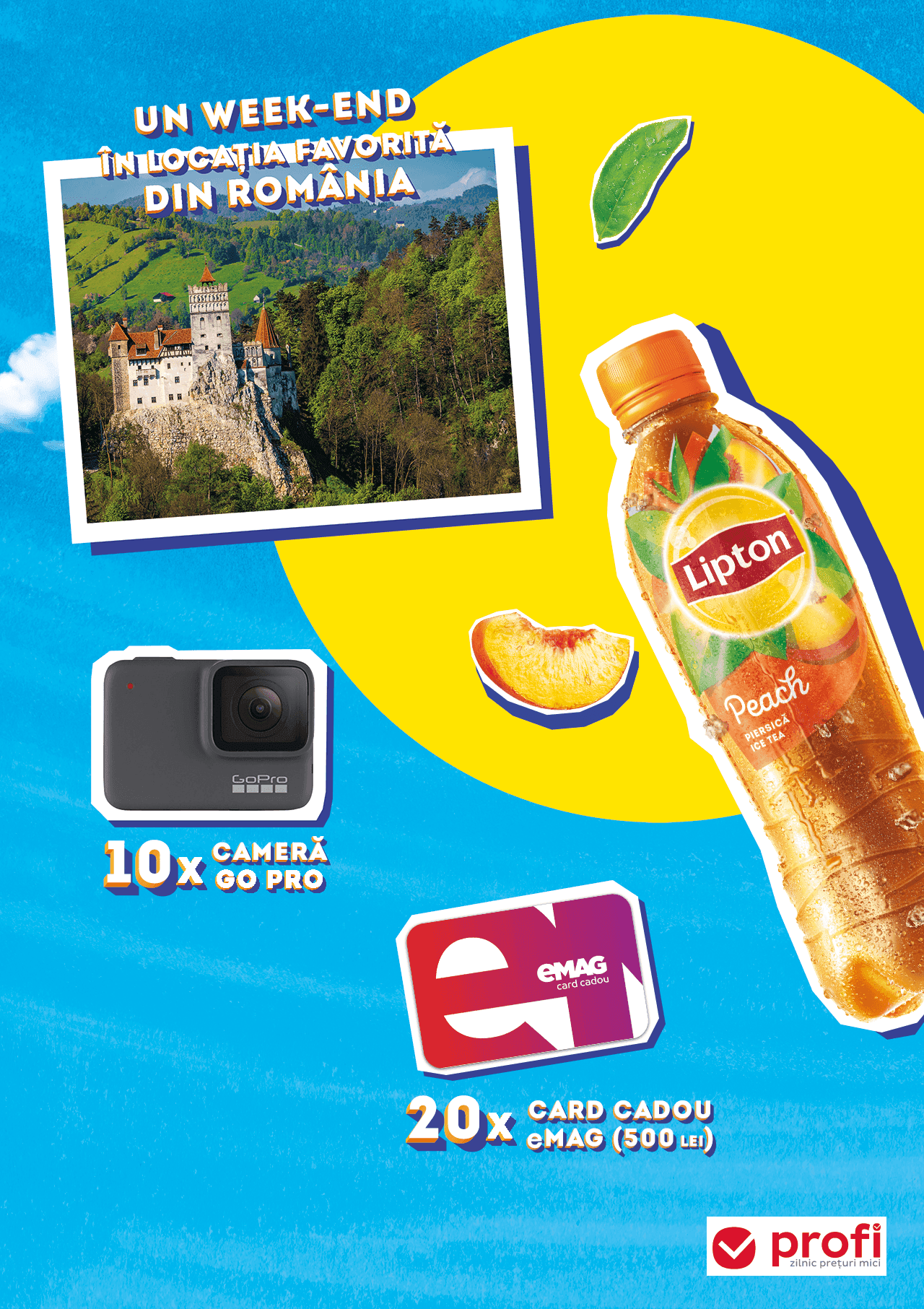Profi 01.10